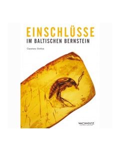 Einschlusseimbaltbernstein