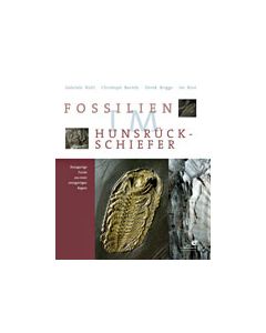 Fossilien im Hunsr